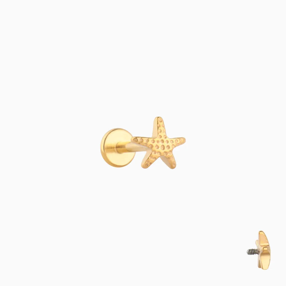 Titanium Starfish Stud