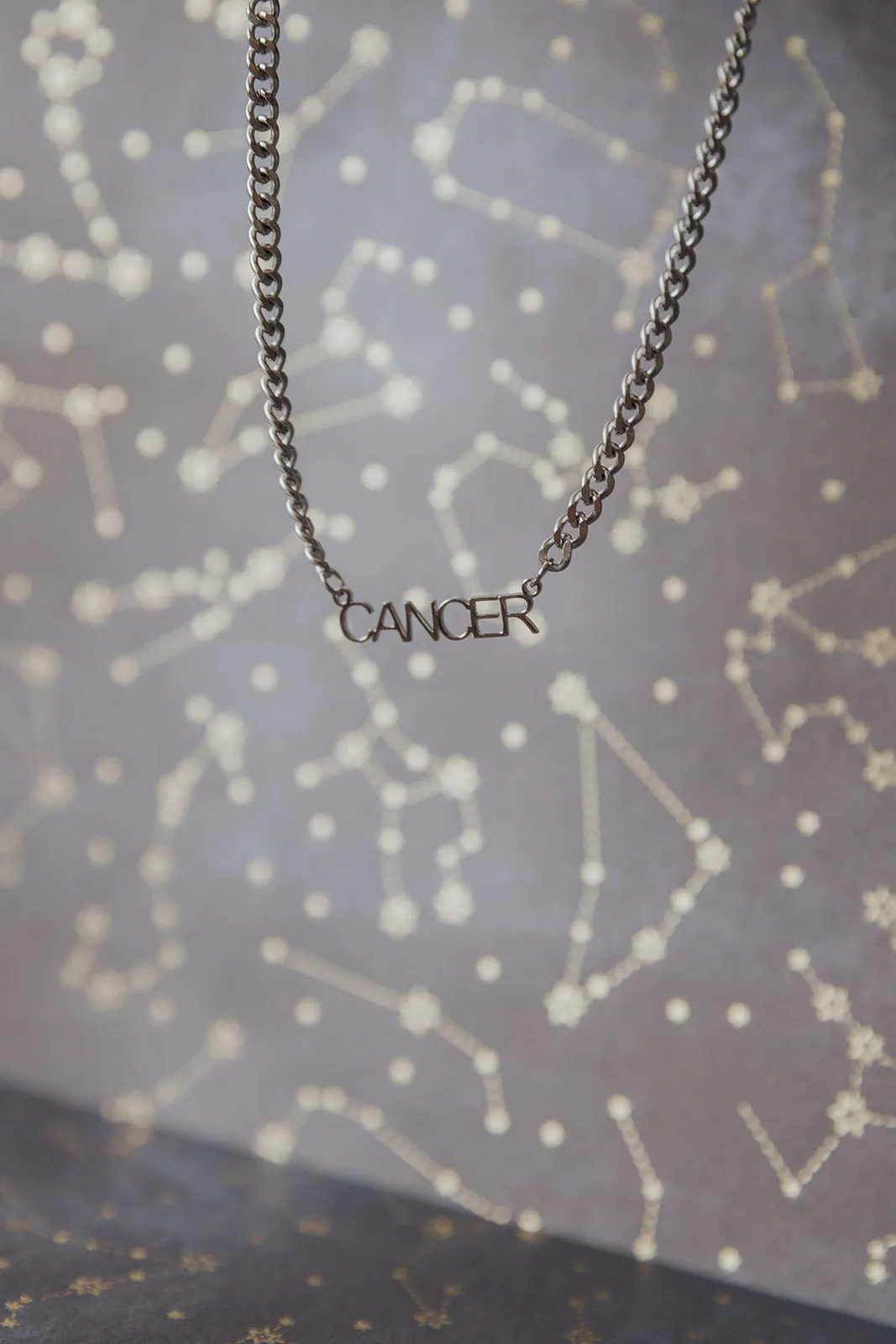 Zodiac 316L Stainless Steel Necklace